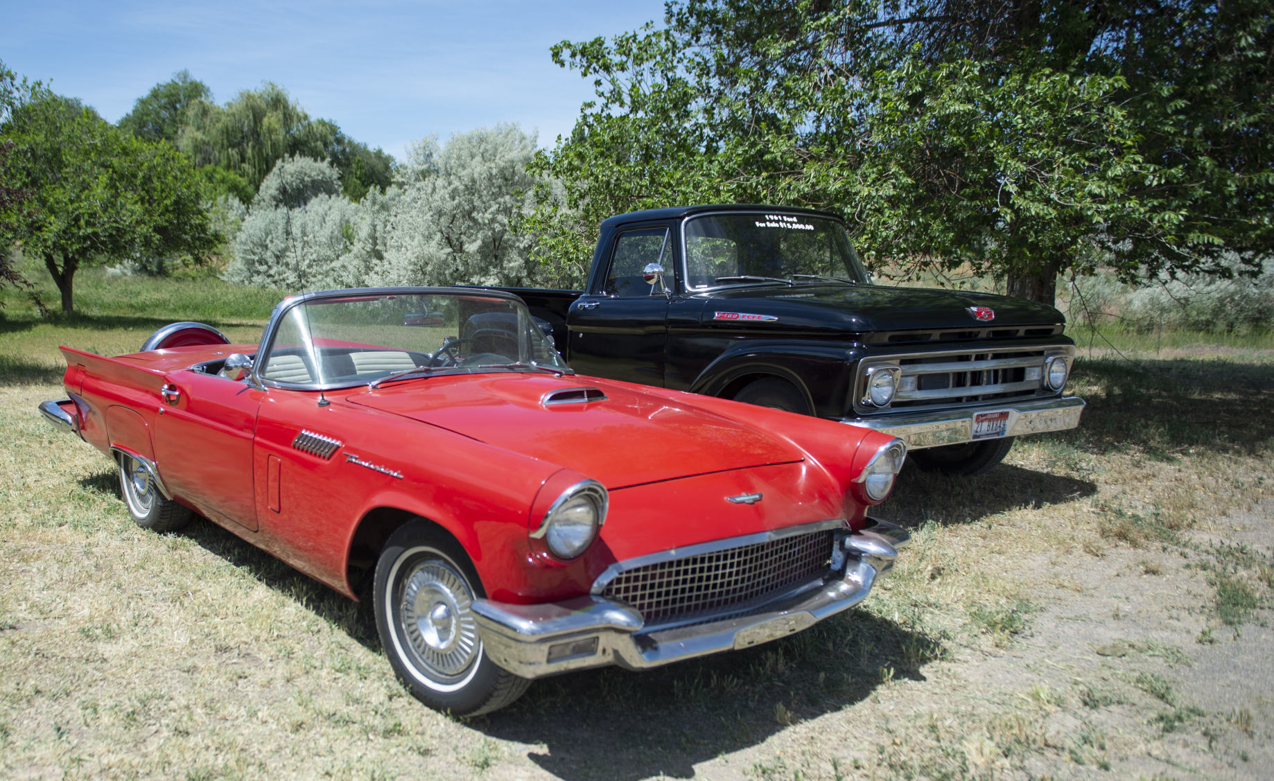 Classic cars getting a second chance
